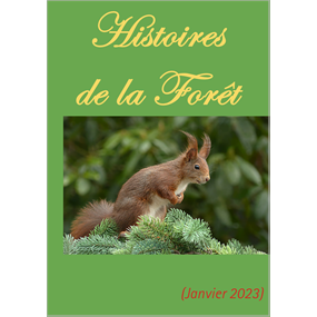 Histoires de la Forêt (spirales) - 2023 - Hervé Tabourin