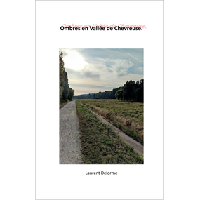 Ombres en Vallée de Chevreuse      -      Laurent Delorme - Laurent DELORME