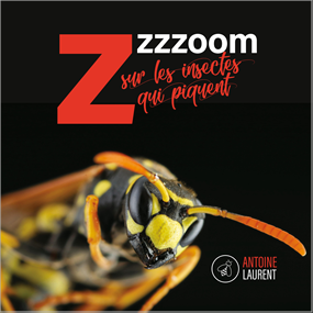 Zzzzoom sur les insectes qui piquent - Antoine LAURENT