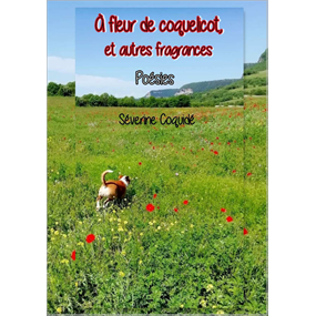A fleur de coquelicot et autres fragrances - Séverine Coquidé