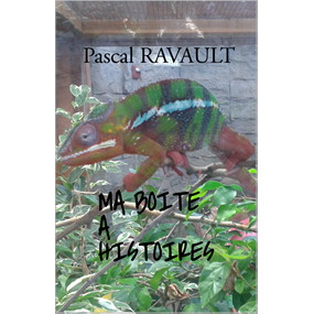 MA BOITE A HISTOIRES - Pascal Ravault