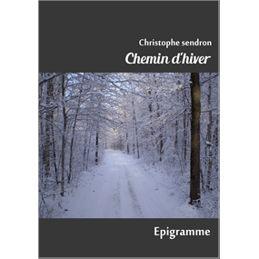 Chemin d'hiver  - christophe sendron 