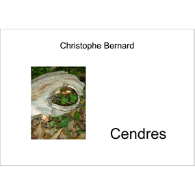 CENDRES - christophe bernard