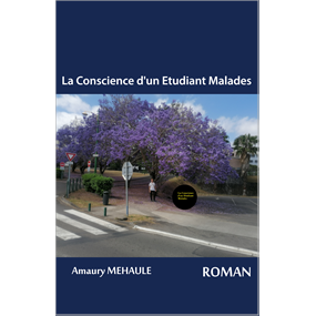 La Conscience d'un Etudiant Malades - Amaury MEHAULE