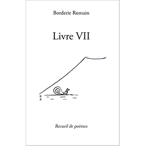 Livre VII - Romain Borderie