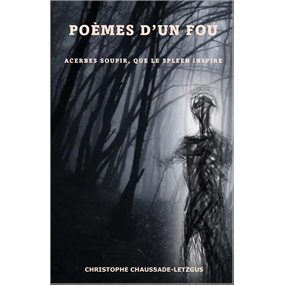 Poèmes d'un fou - Christophe Chaussade-Letzgus
