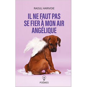 Il ne faut pas se fier à mon air angélique - Raoul Harivoie