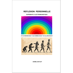 REFLEXION PERSONNELLE - DANIEL BAYLEY