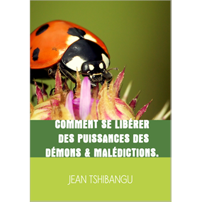  COMMENT SE LIBÉRER  DE PUISSANCES DES DÉMONS & MALÉDICTIONS. - Luvuanda Jean Tshibangu