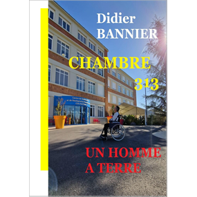 CHAMBRE 313 - COS Pasteur - Didier BANNIER