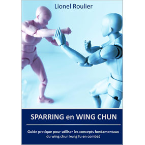 Sparring en Wing Chun - lionel roulier