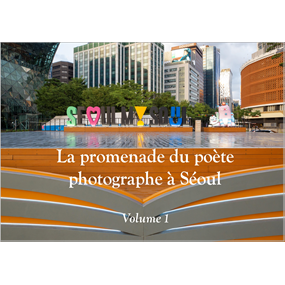Seoul my soul - Volume 1 - Rémy Glérenje