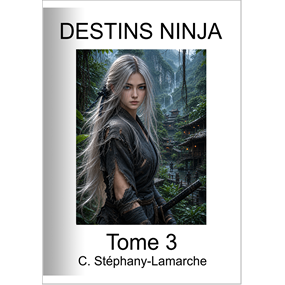 DESTINS NINJA tome 3 - CHANTAL STEPHANY LAMARCHE