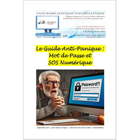 Le Guide Anti-Panique :  Mot de Passe et SOS Numérique  - GREGORY LION