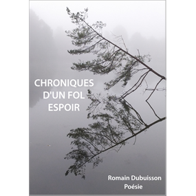 Chroniques d'un fol espoir - ROMAIN DUBUISSON