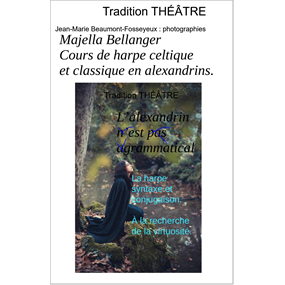 Cours de harpe celtique et classique en alexandrins   - Majella Bellanger 