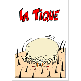 La tique - Association Enfance Lyme and co