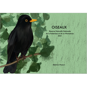 Oiseaux Réserve Naturelle Robertsau-La Wantzenau 2021 - Béatrice Masson