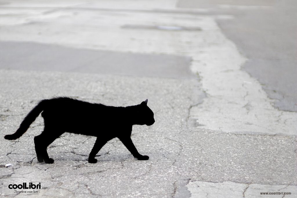 Superstition et création de livre