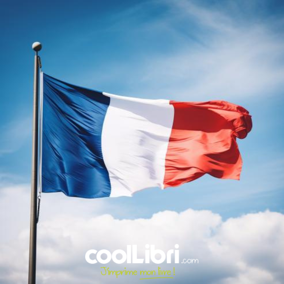Le new romance français - CoolLibri.com