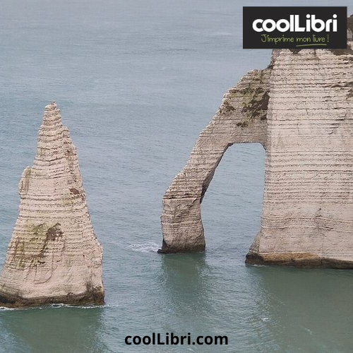 Les piliers de la mer, de Sylvain Tesson  - coollibri.com